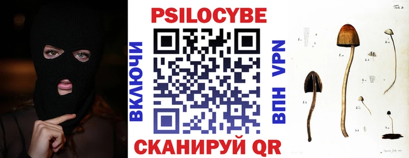 Псилоцибиновые грибы прущие грибы купить наркотики цена Енисейск